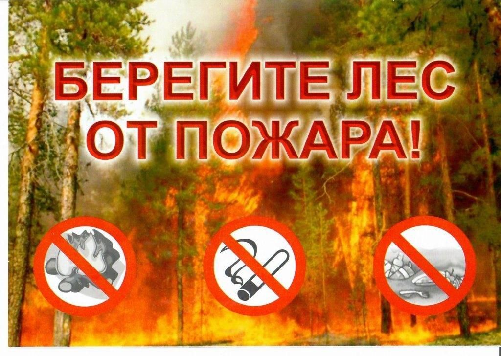 Берегите лес от пожара картинки