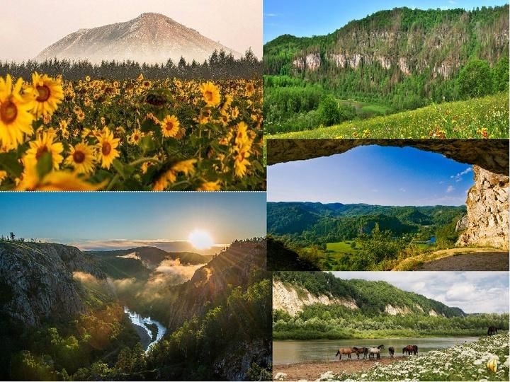 Фотопортрет одного из районов россии отражающий особенности природы населения хозяйства проект