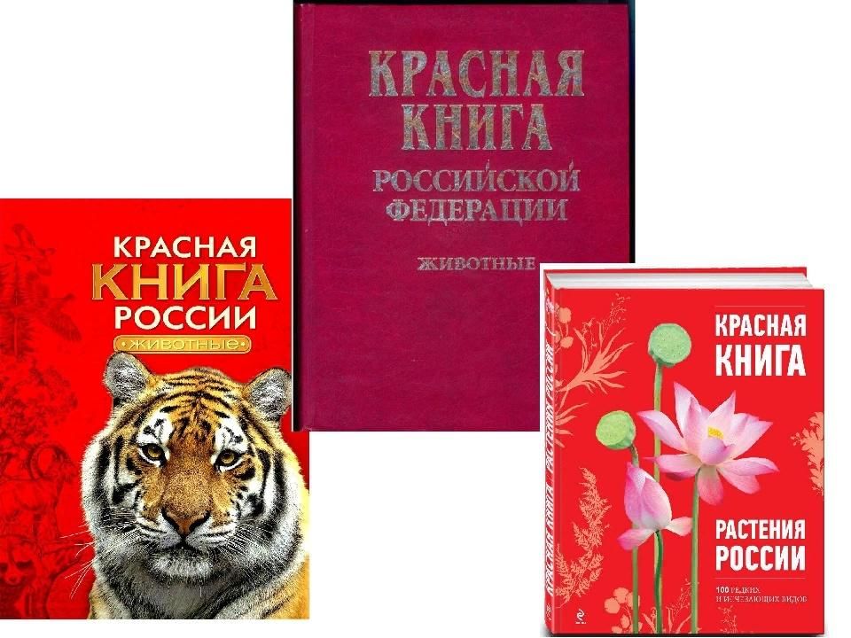 Как выглядит обложка красной книги Познавательный час с викториной "Красная книга" 2022, Куркинский район - дата и 