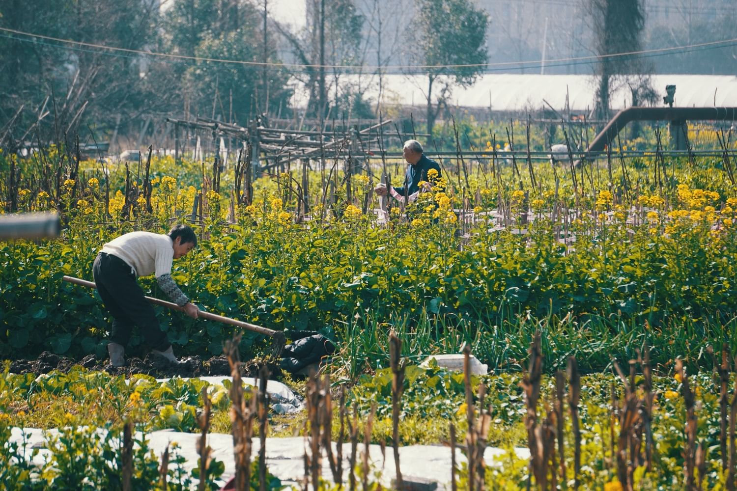 Труд всегда. Agricultural months.