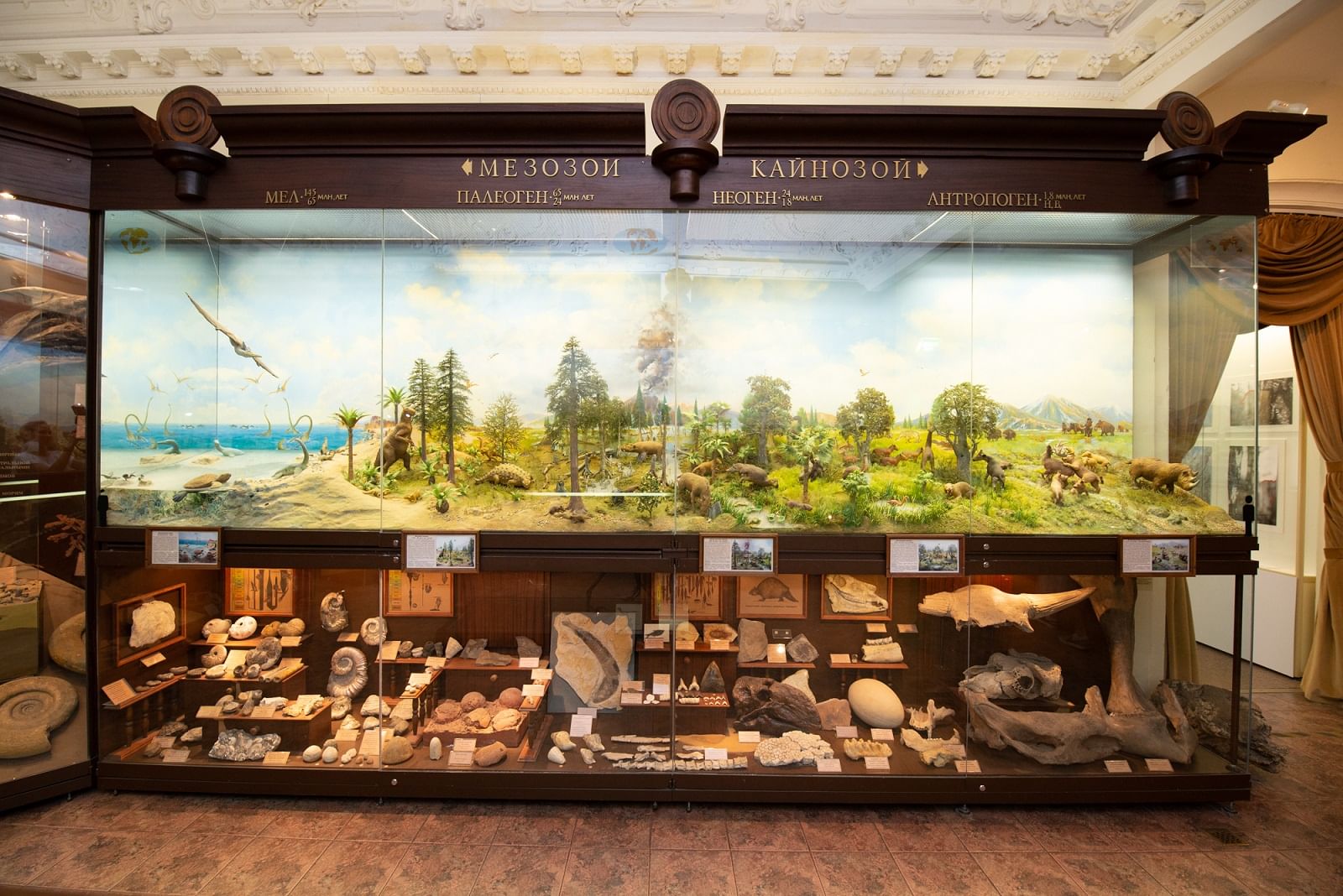 Тимирязевский музей экспонаты