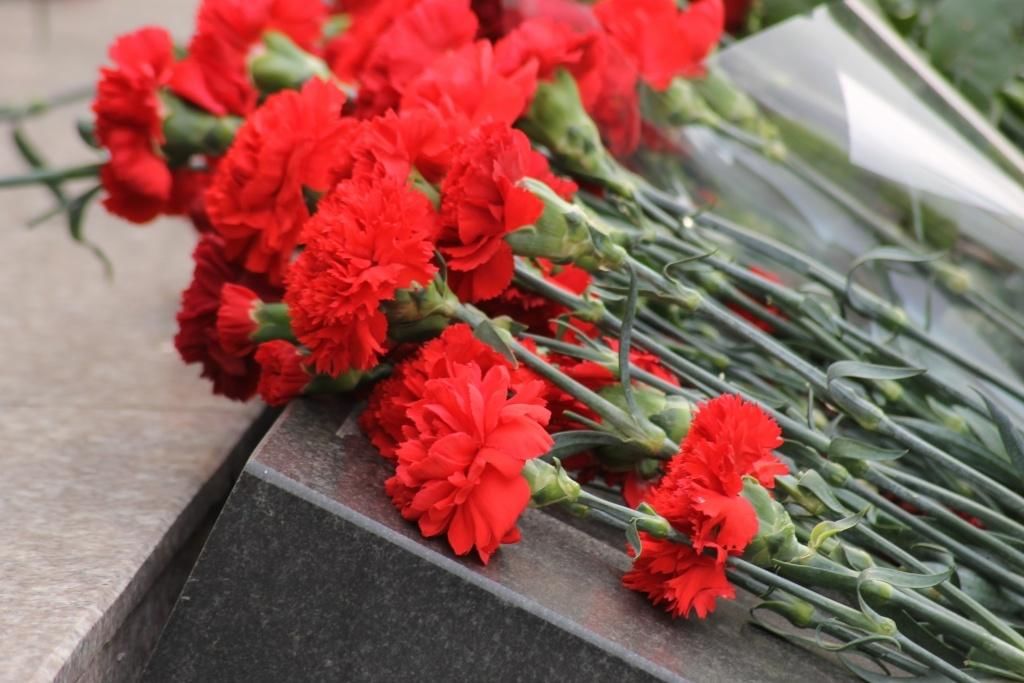 Гвоздики к памятнику картинка
