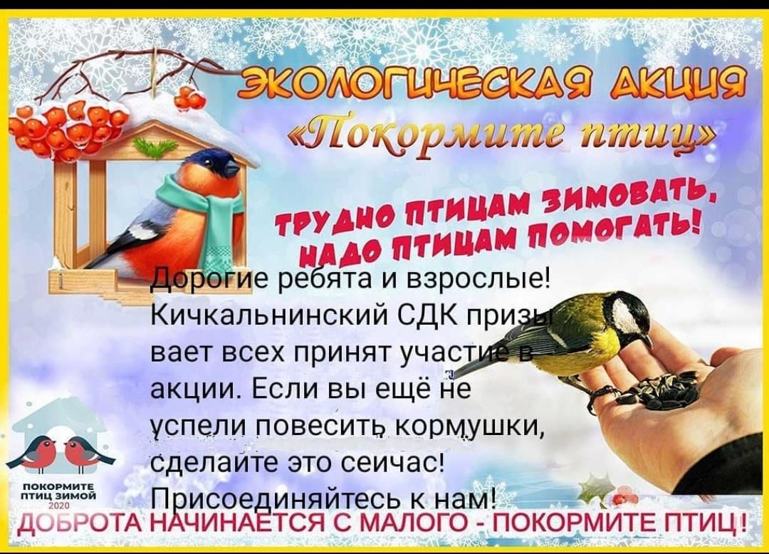 Покормите птиц зимой!» 2022, Нурлатский район — дата и место проведения,  программа мероприятия.