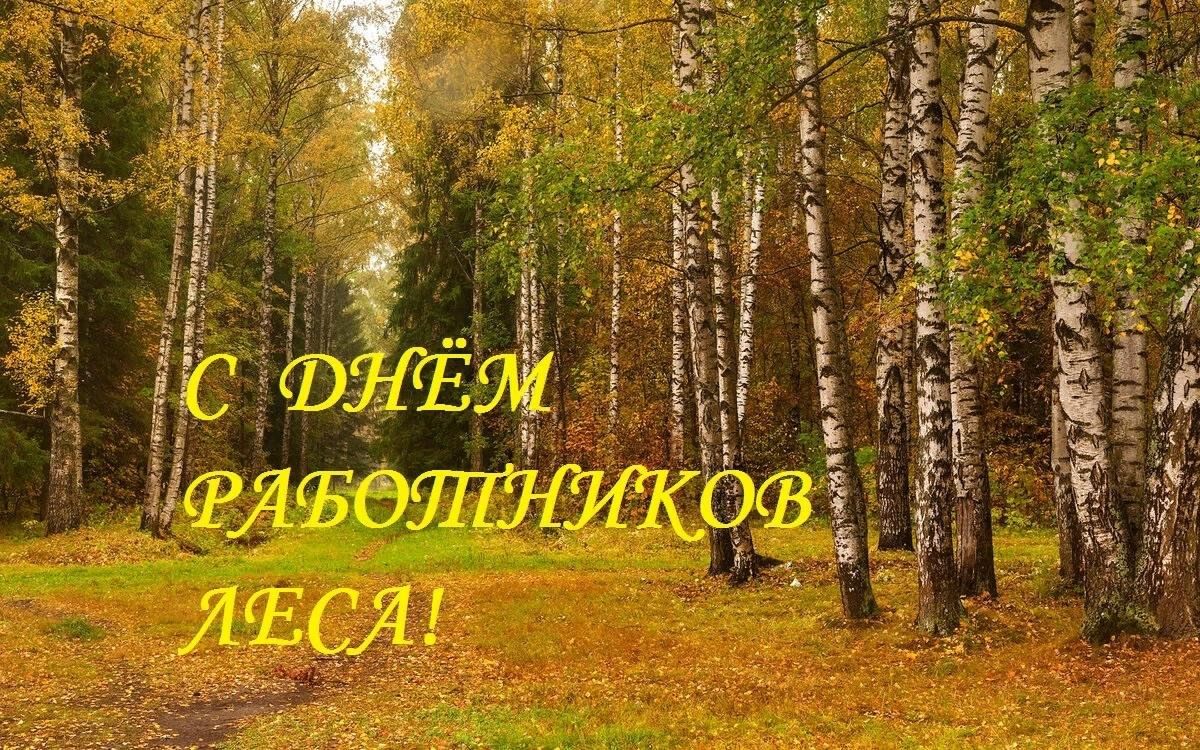 День работника лесной промышленности картинки Лес - бесценный дар природы" 2023, Новошешминский район - дата и место проведени