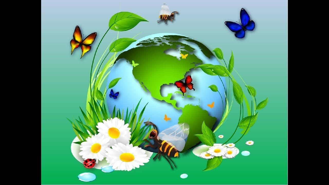 Мы не хотим чтоб наши земли. Детям об экологии. Защита природы. Экология для дошкольников. Природа экология.