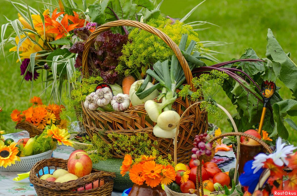 Harvest holiday. Осенины праздник урожая. Осенины Оспожинки. Осенины 2023. Осенины праздник урожая сентябрь.