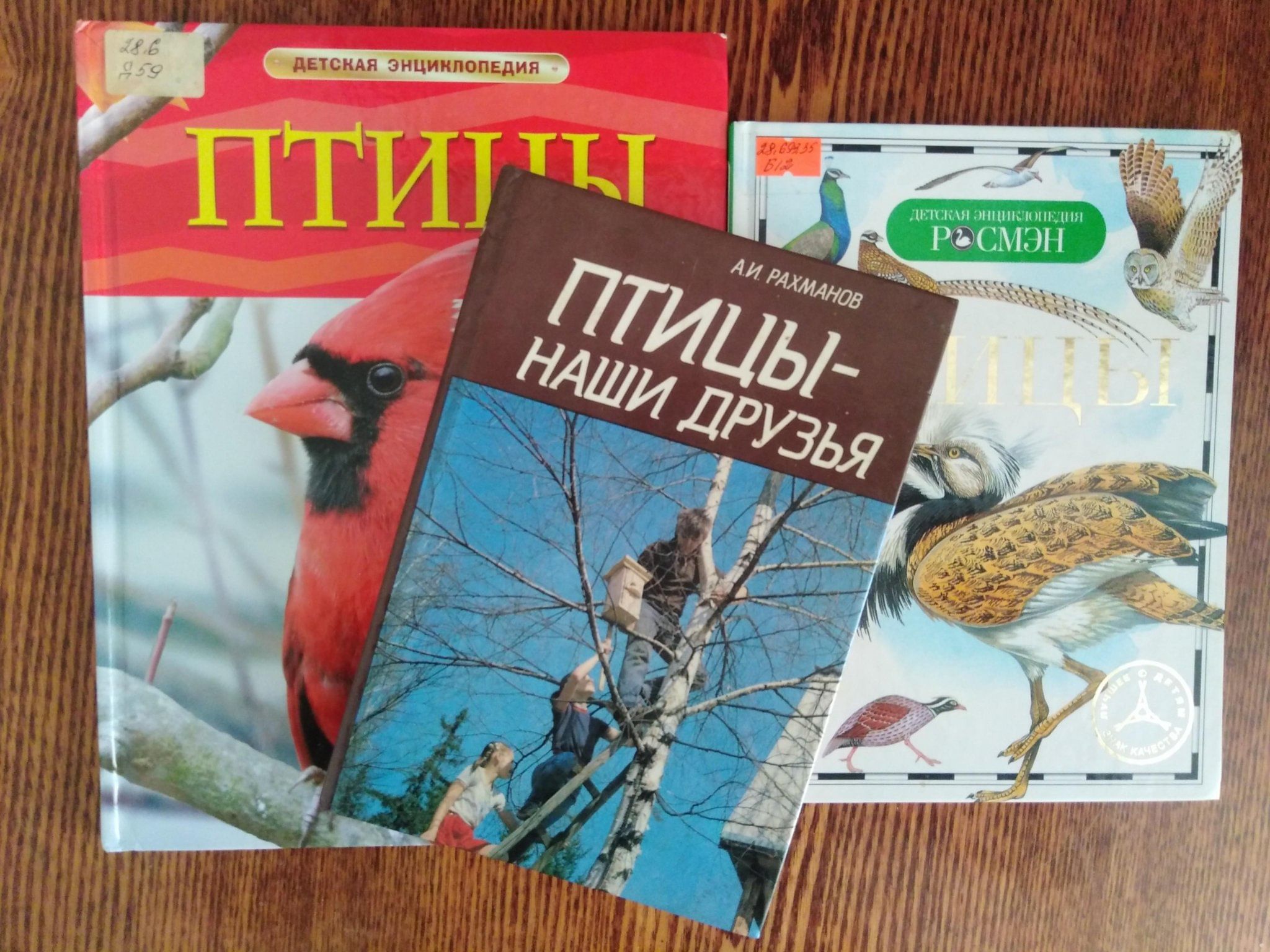 Экологический час «Чиж — птица года 2024» 2024, Подгоренский район — дата и  место проведения, программа мероприятия.