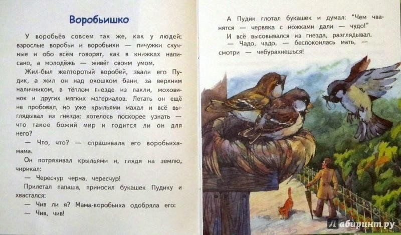 Спасение птенчика сочинение по картине