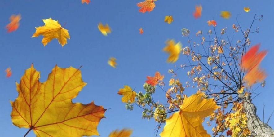Основное изображение для события Праздник осени «Закружилась листва золотая»