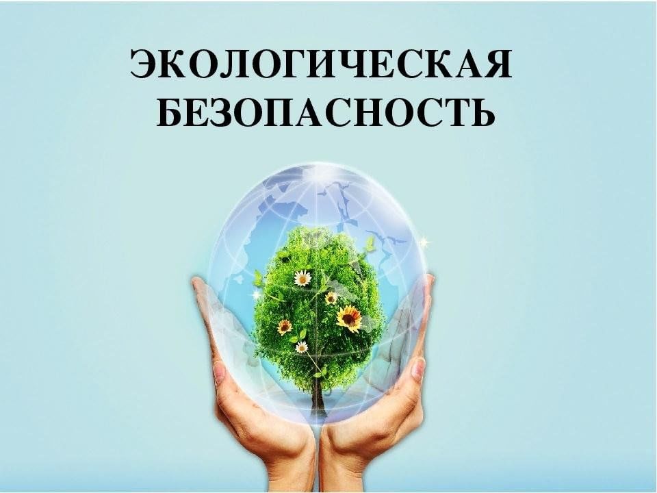 Экологические проекты 3 класс Экологическая безопасность" 2023, Ачхой-Мартановский район - дата и место провед