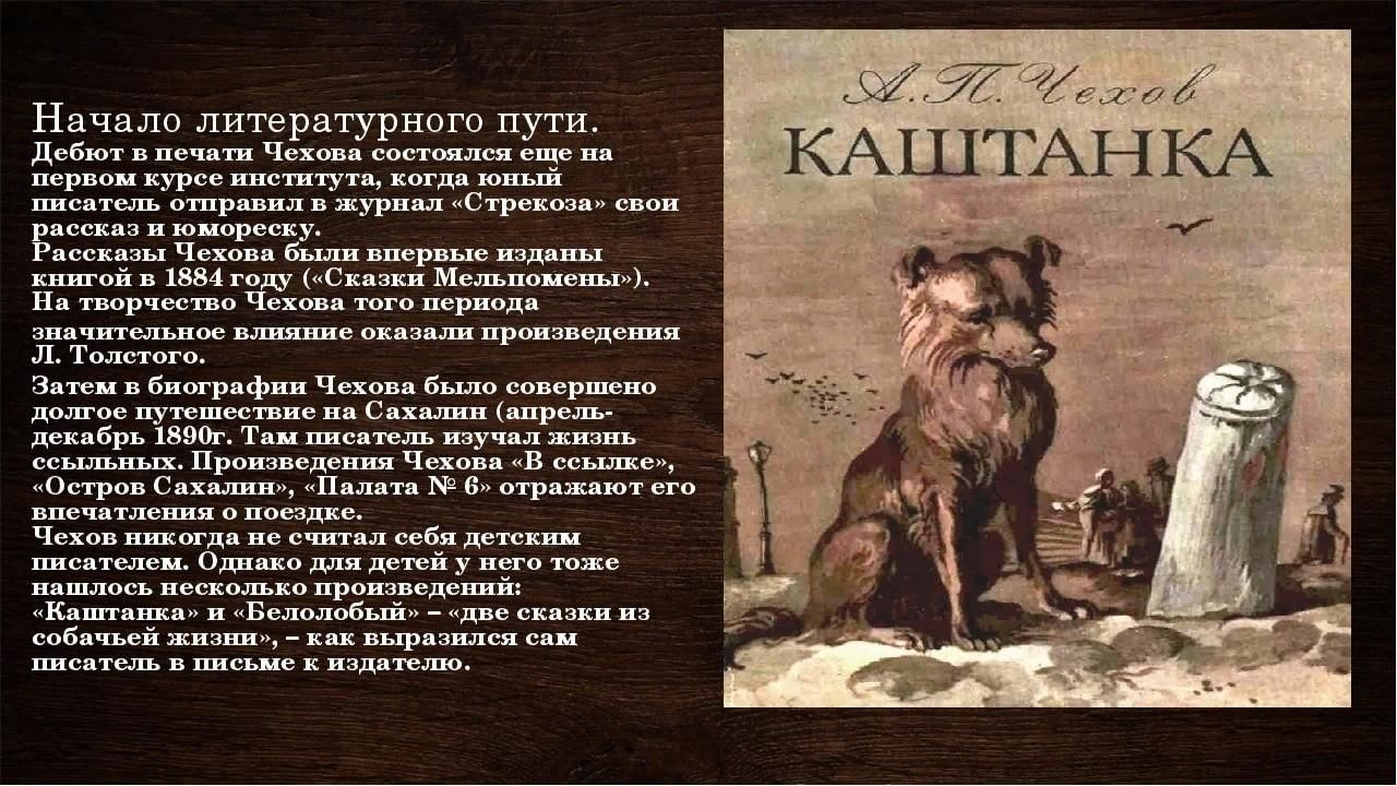 Презентация каштанка чехов