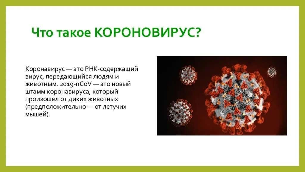 Короновирусная инфекция онлайн карта