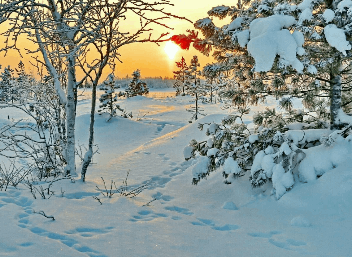 Промчался день картинки