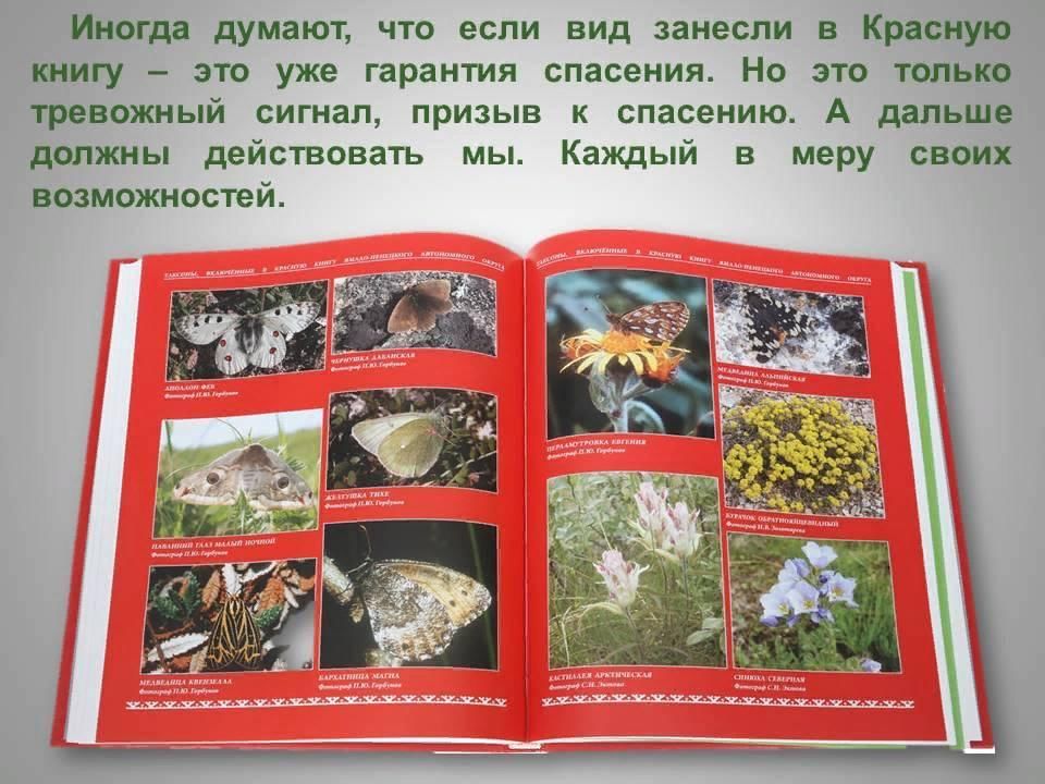 Презентация красная книга 5 класс