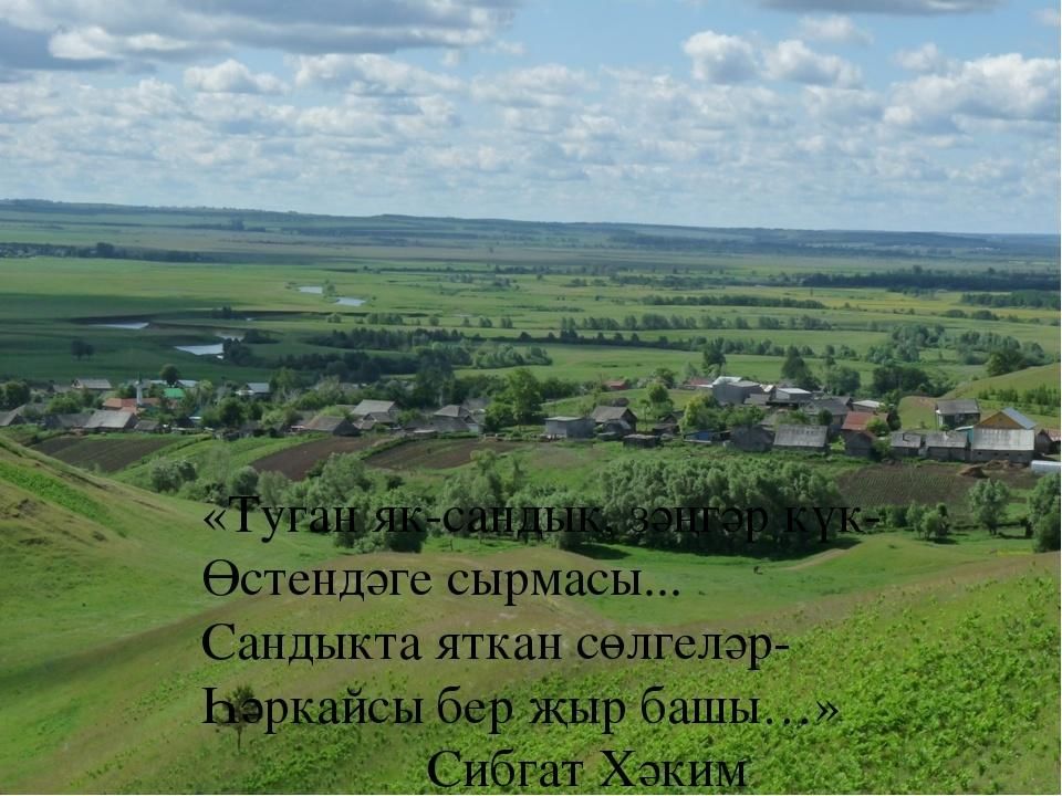 Татарская туган авыл