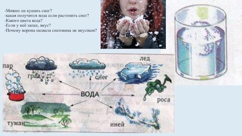 Проект чистый ли снег - 95 фото