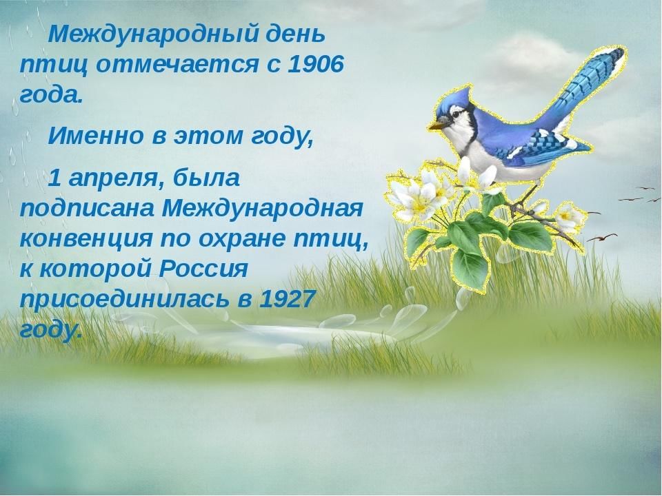 Песня ко дню птиц. День птиц. Всемирный день птиц. Поздравление с днем птиц. С днем птиц открытки.