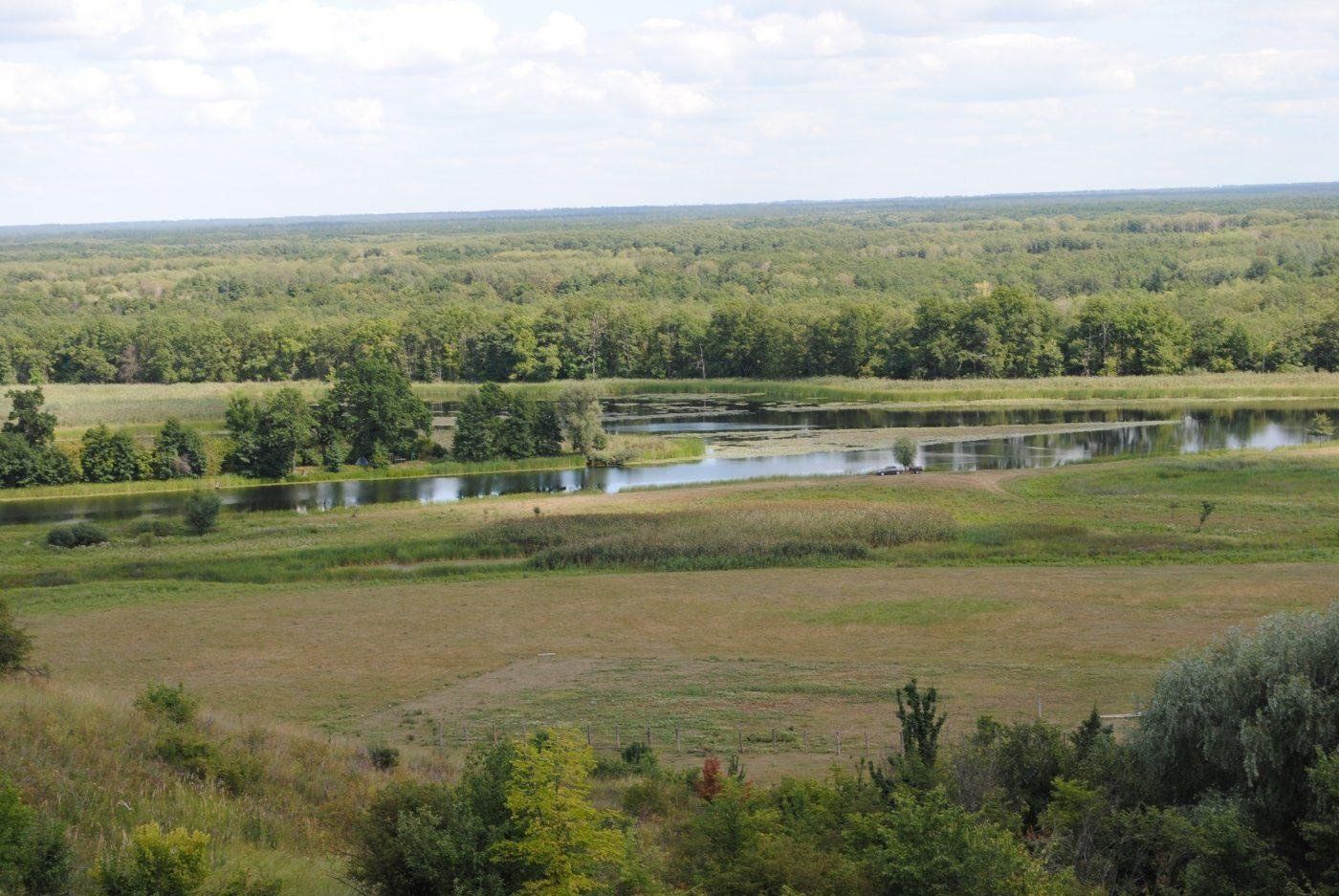 Село Коршево Воронежская область