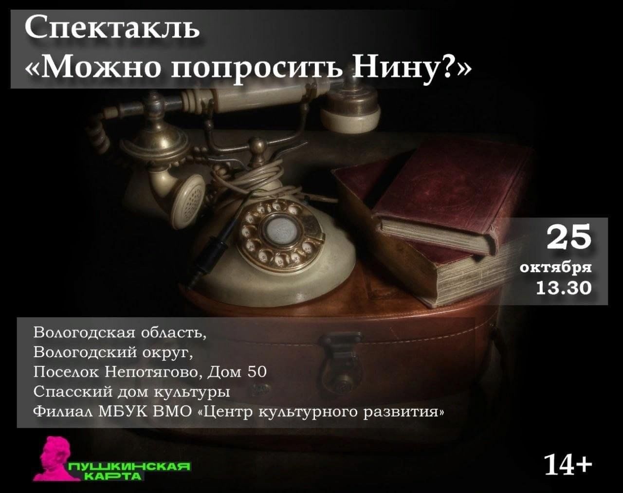 Рассказ можно попросить нину. Спектакль спросите Нину. Книга можно попросить Нину.