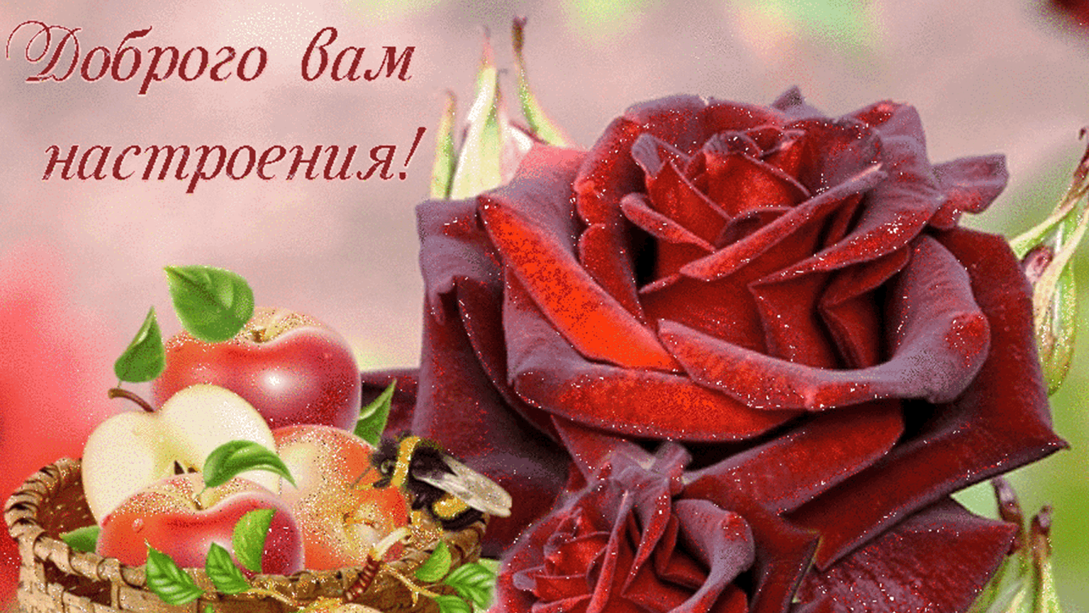 Открытки отличного настроения
