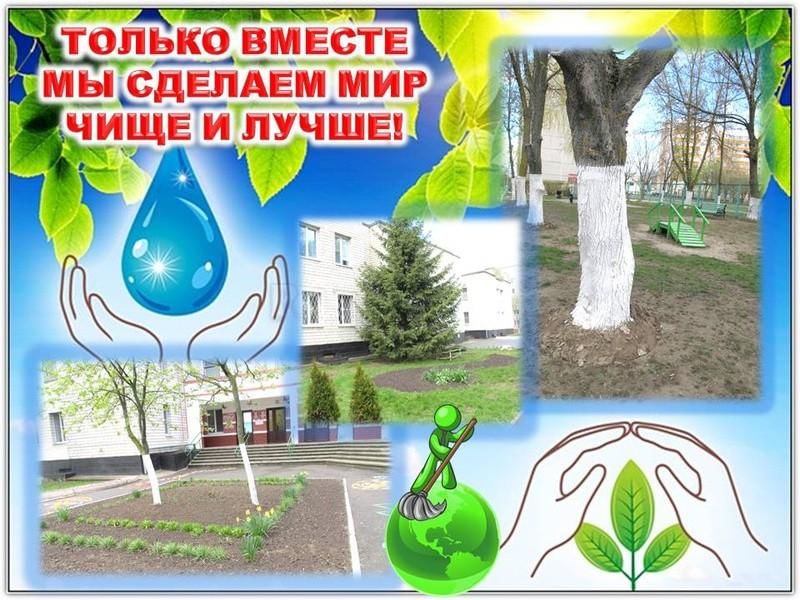 Акция чистое село картинки