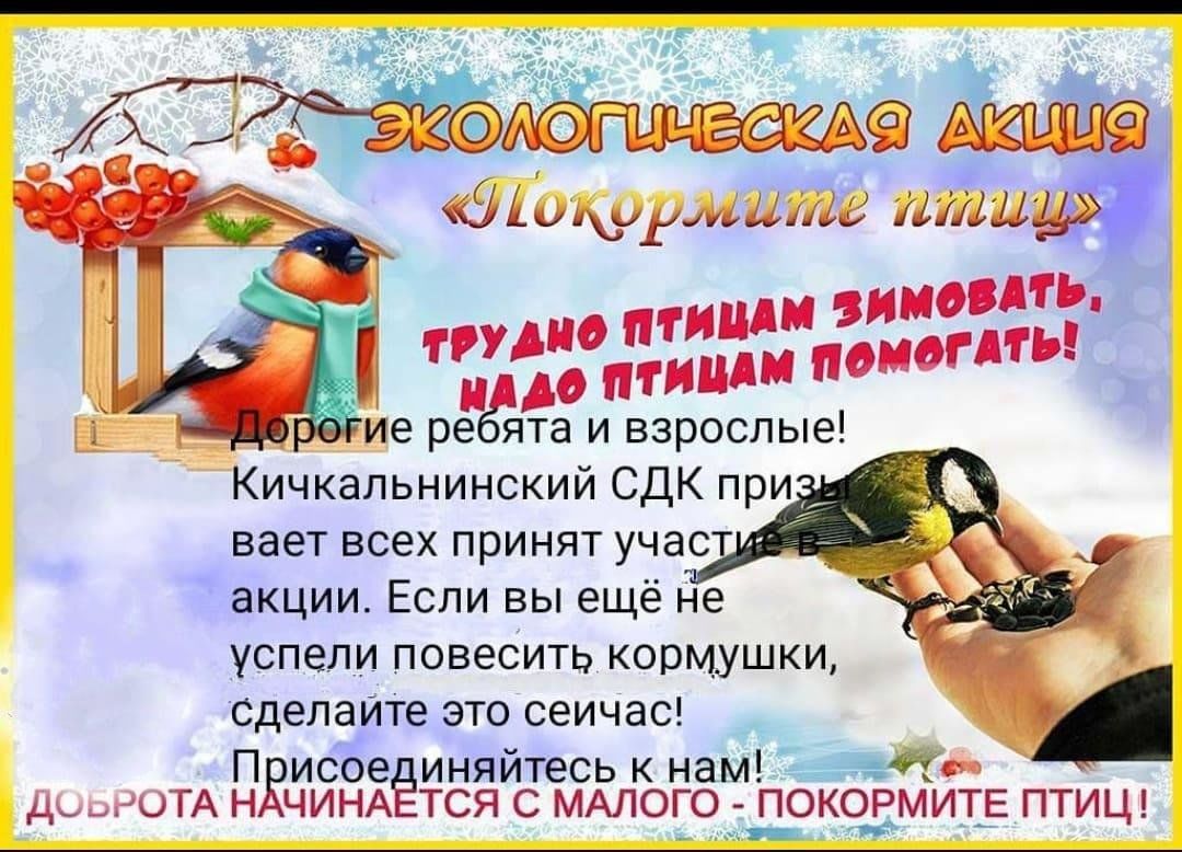 Акция «Покормите птиц зимой!» 2024, Нурлатский район — дата и место  проведения, программа мероприятия.