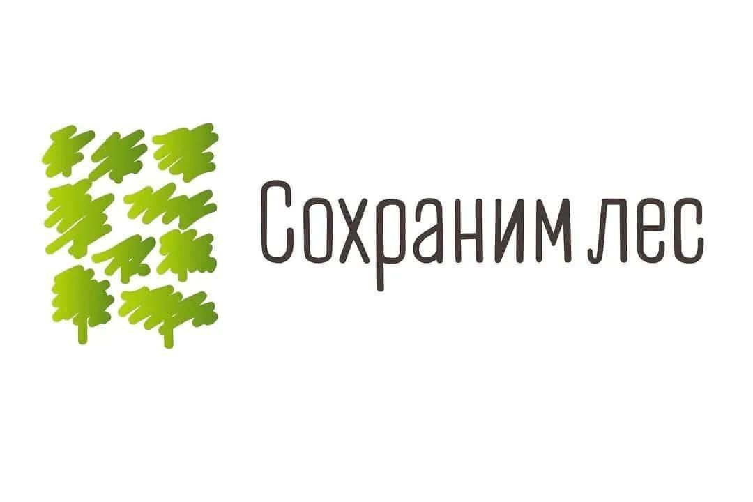 Анализ проекта сохранение лесов в свердловской области Всероссийская акция "Сохраним лес" 2021, Большеберезниковский район - дата и мес