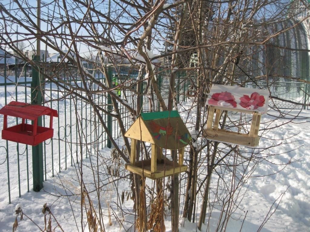 Птичья столовая. Акция Птичья столовая. Птичья столовая план. Посетители птичьей столовой.