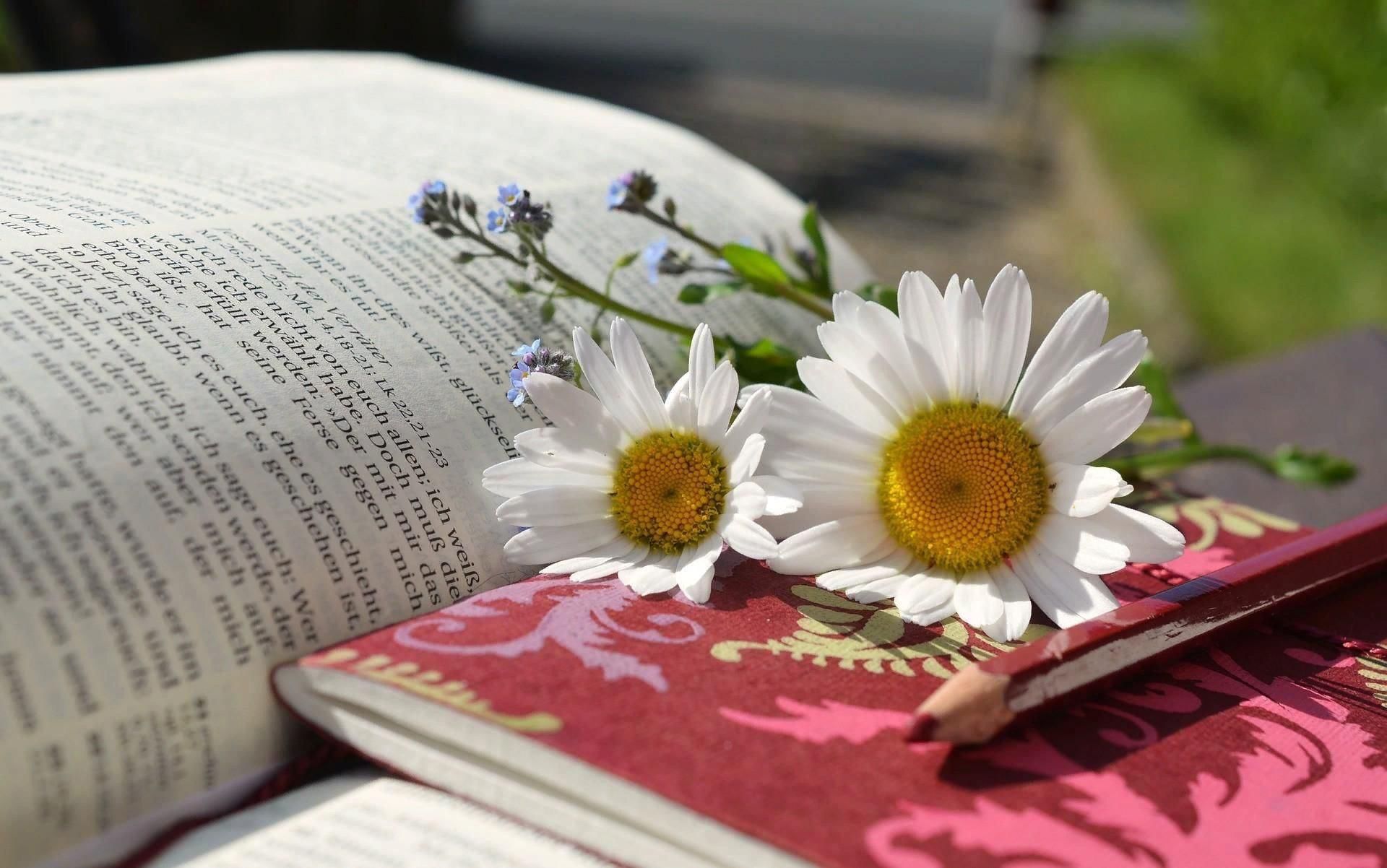 Книга цветы