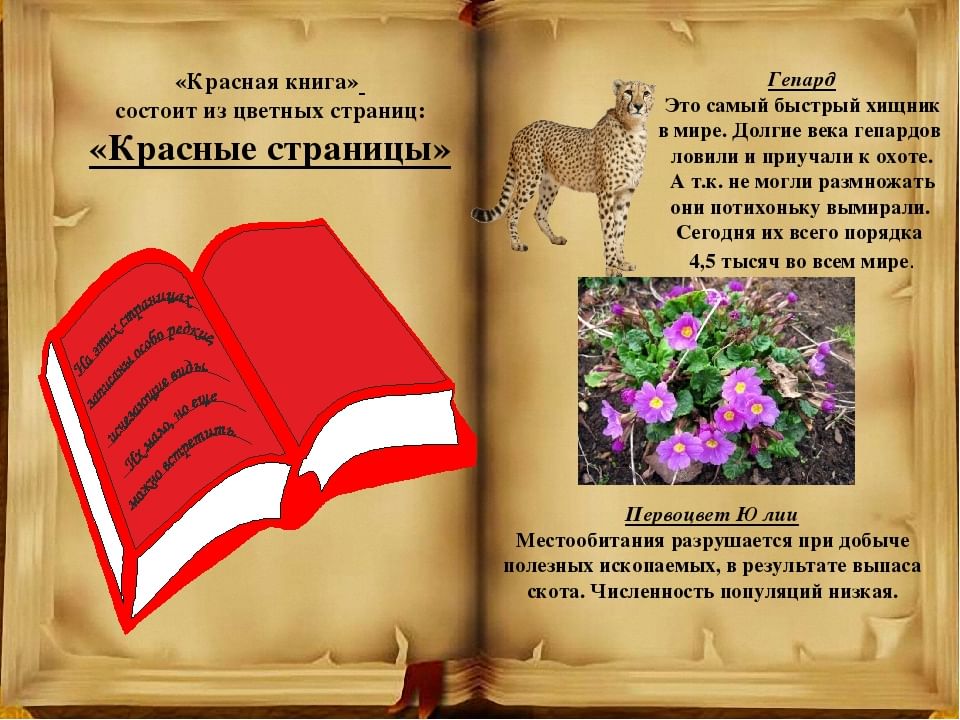 Презентация о красной книге 2 класс окружающий мир