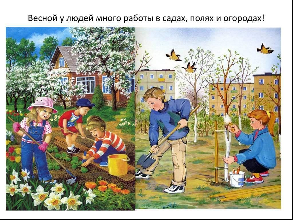 Весенний сад картинки для детей. Картины о весне для дошкольников. Труд весной для детей. Труд весной для дошкольников.