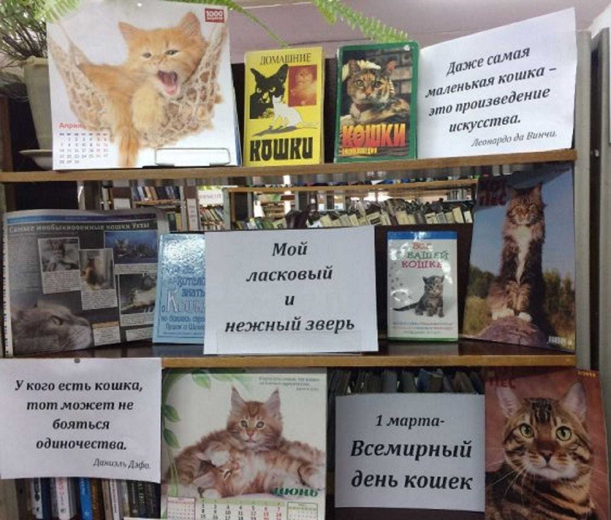 Книжная выставка к Дню кошек