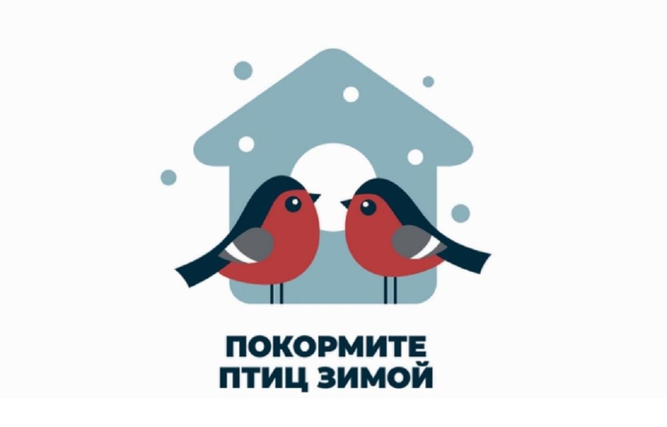 В Калужской области стартовала акция Покормите птиц зимой!