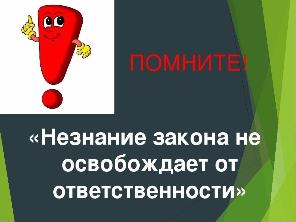 В какой статье говорится, что незнание закона не освобождает от ответственности?