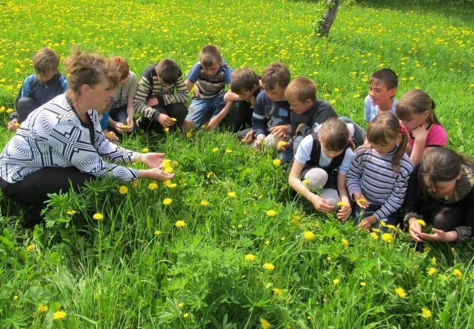 Фото школьников на природе