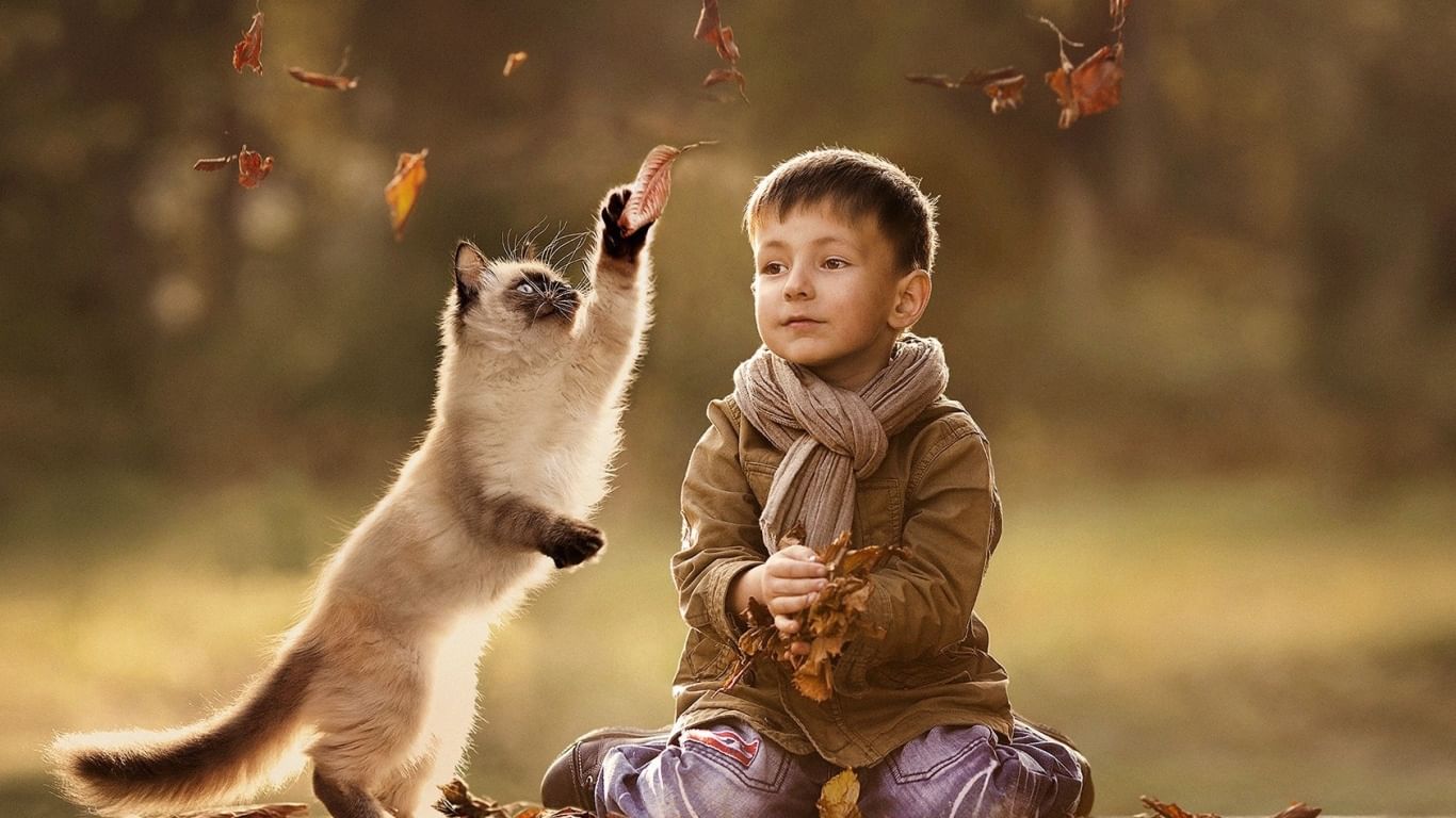 Онлайн - беседа "Добро и зло: причины наших поступков" 2021, Уфа ...