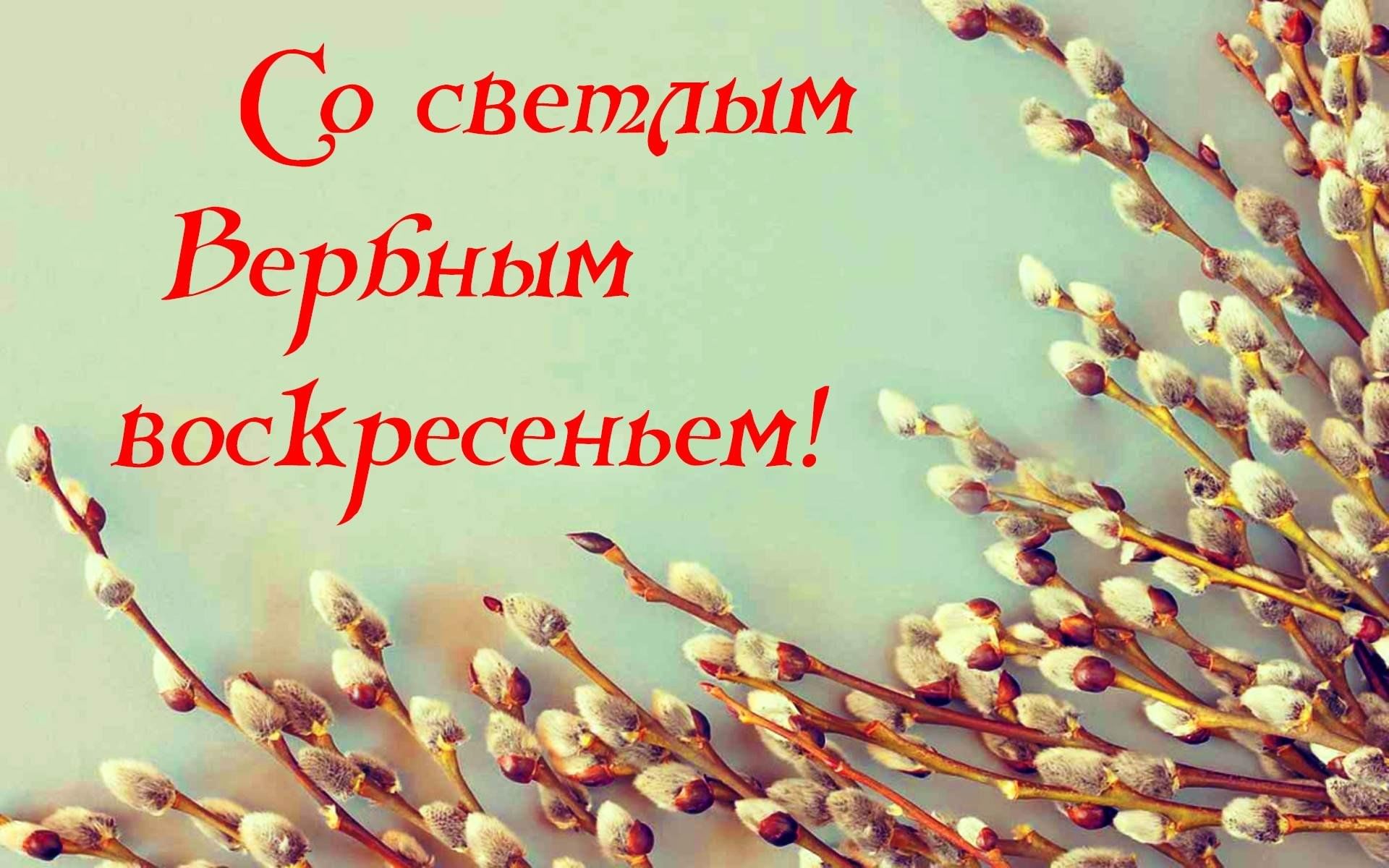 Акция «Вербная благодать» 2024, Менделеевский район — дата и место  проведения, программа мероприятия.