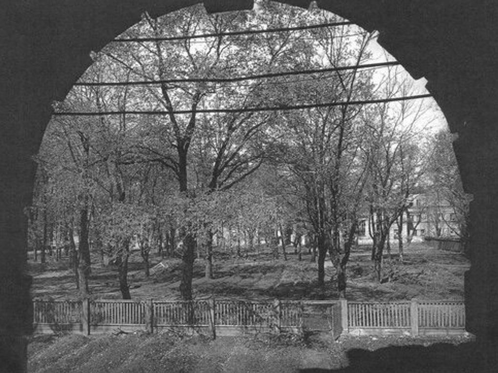 Огороды в саду Академии художеств. 1944 год. Фотография: <a href="https://artsacademy.ru/additionally/patrioticheskoe-vospitanie/akademiya-khudozhestv-v-gody-vov/" target="_blank" rel="noopener">artsacademy.ru</a>