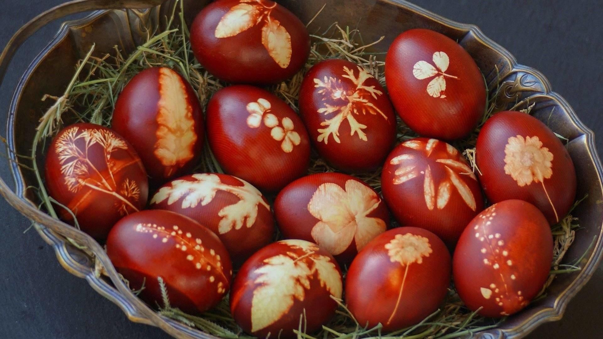 помидоры сорт пасхальное яйцо фото
