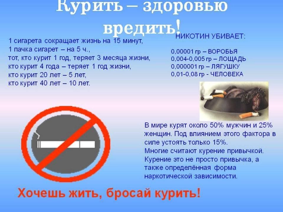 После никотина хочется в туалет