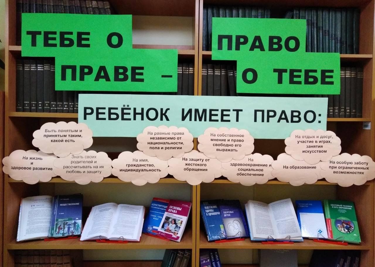 Презентация о законодательство о выборах