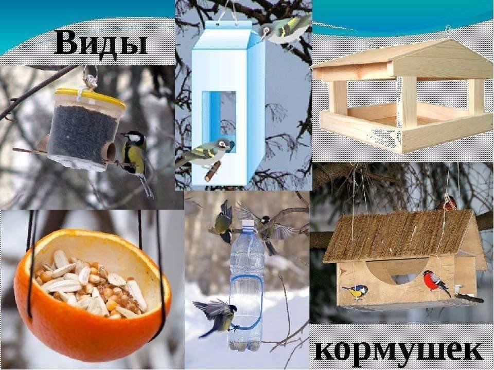 Проект кормушка для птиц 4 класс