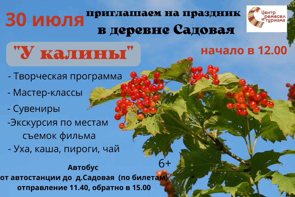 План калина красная