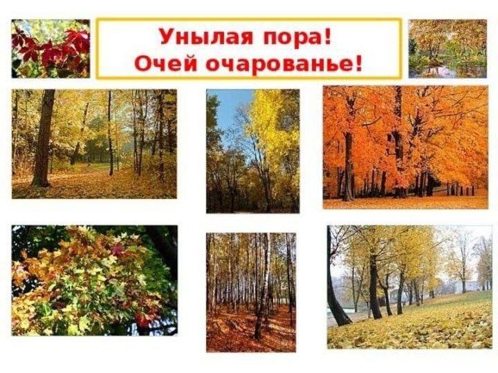 Унылая пора очарования