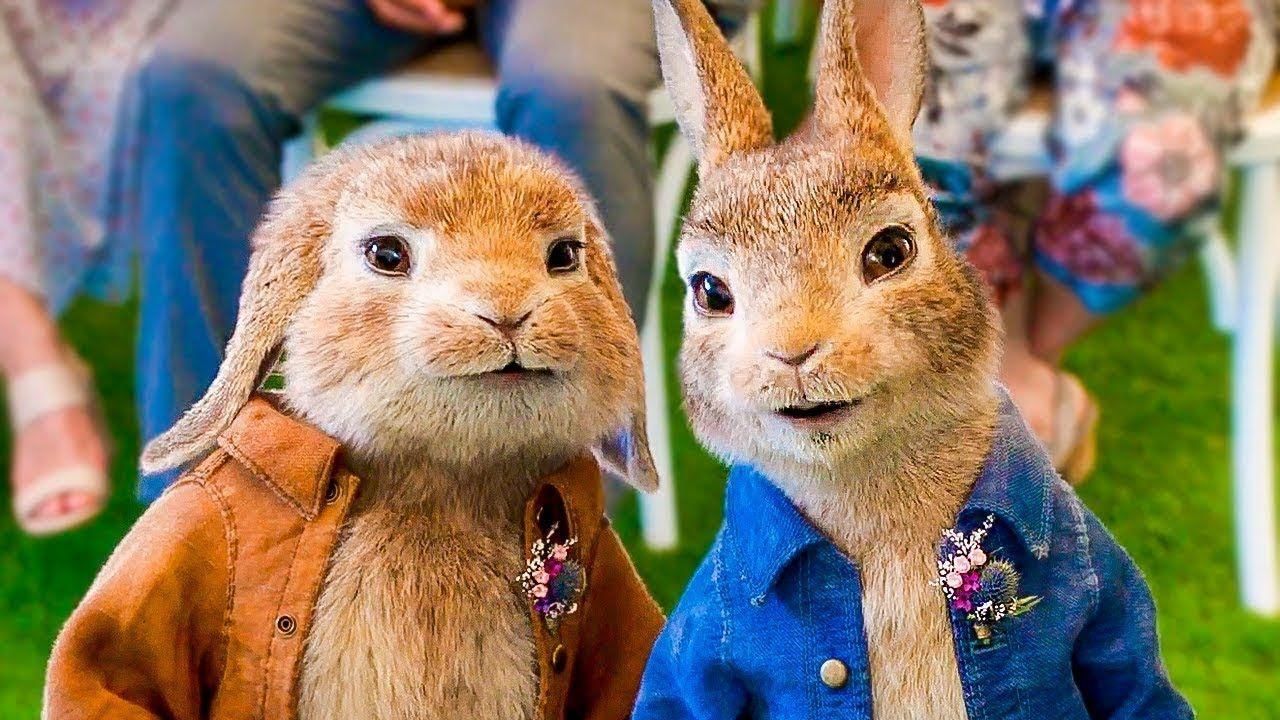 Кролик питер 2 картинки