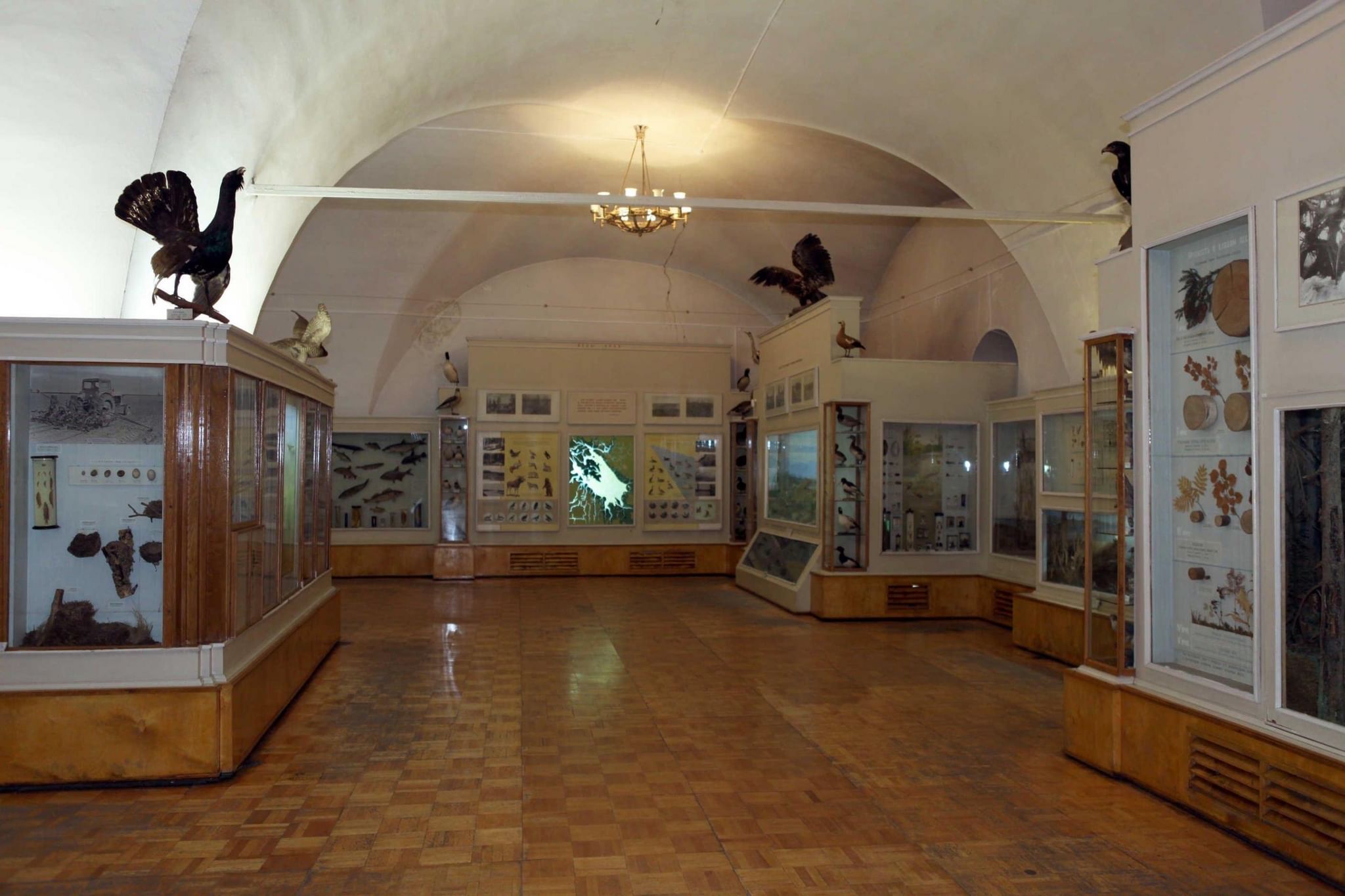 ярославский музей