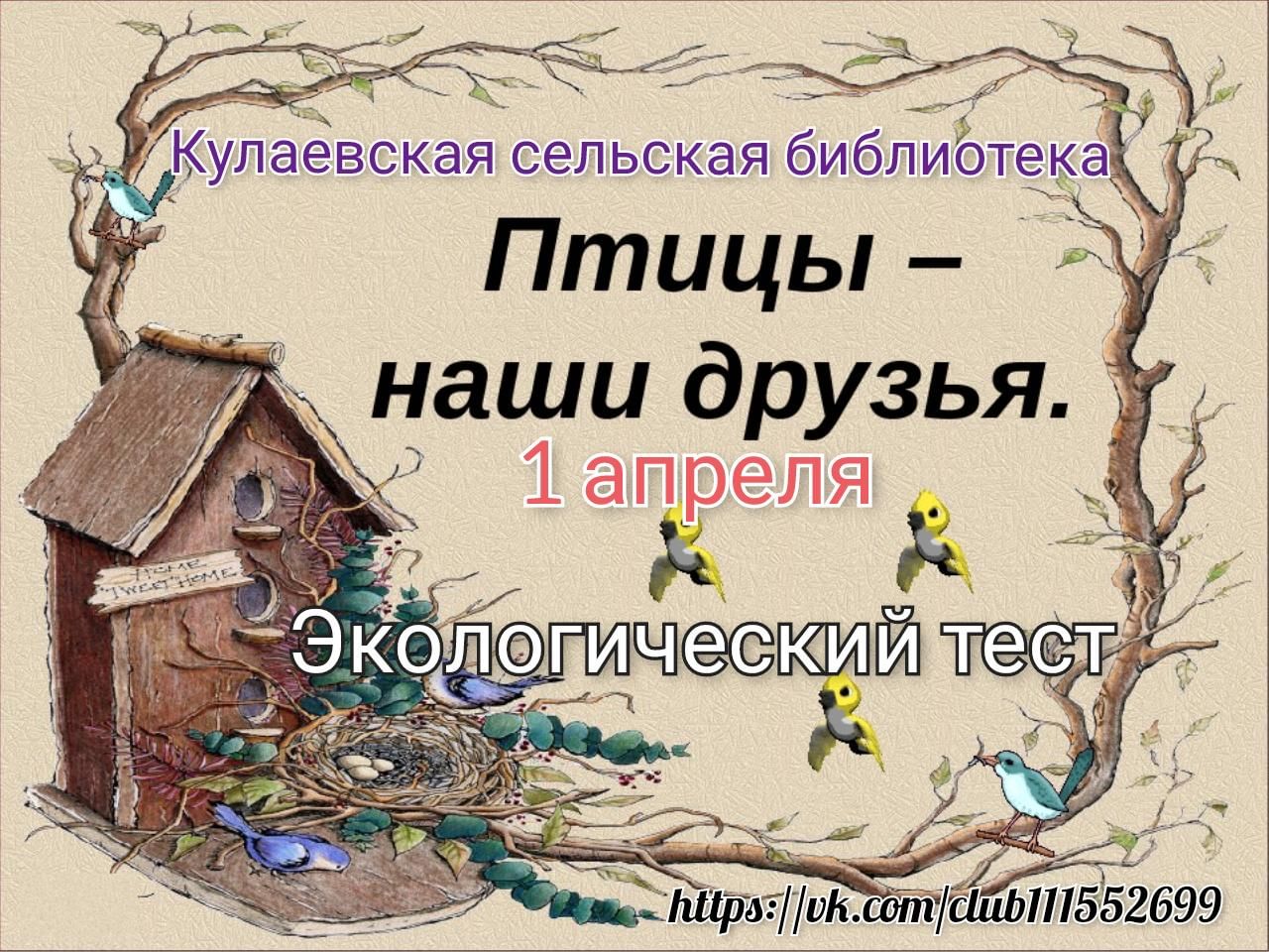 Птицы наши друзья презентация