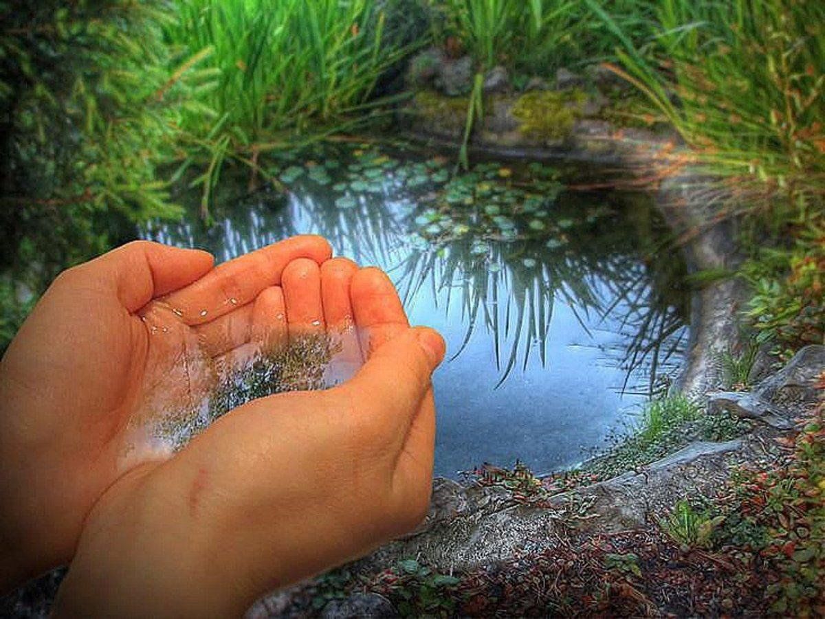 Вода нехотя переливалась. Родник природа. Вода в ладонях. Природа в ладошках. Красивый Родник.