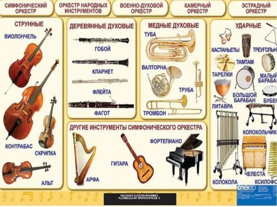 Инструменты композитора. Струнные смычковые деревянные духовые медные духовые ударные. Симфонический оркестр инструменты названия. Инструменты входящие в состав симфонического оркестра. Инструменты ссимфонического оркестр.