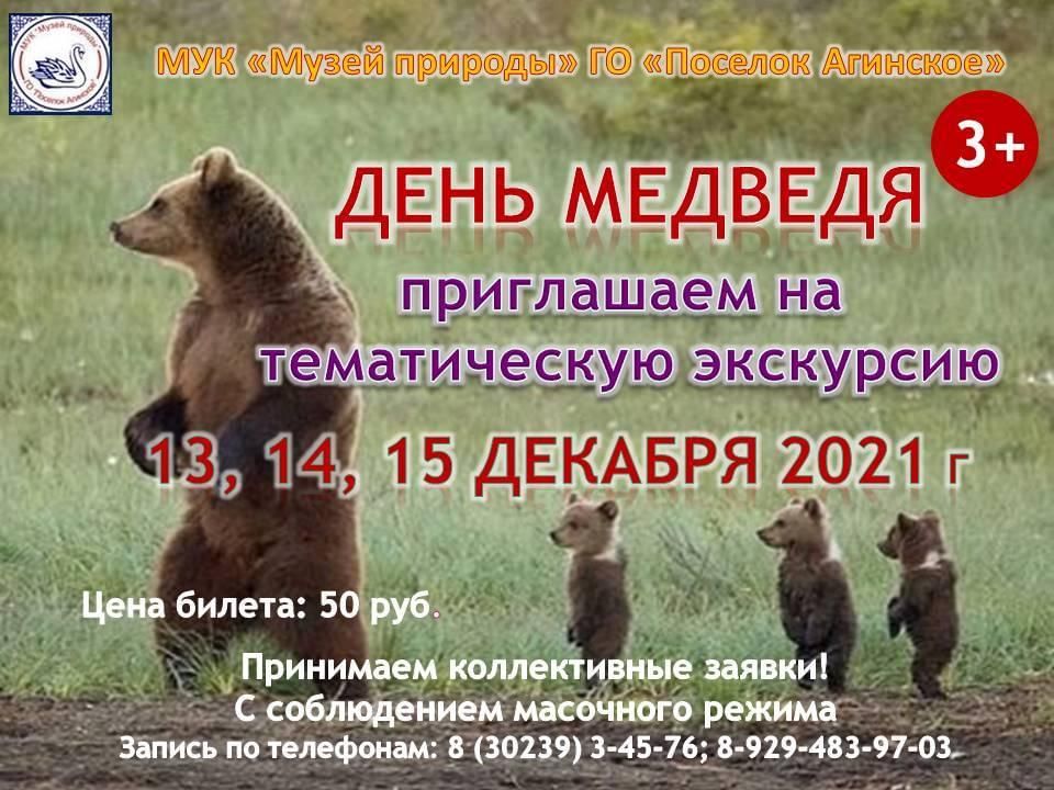 День медведя 13 декабря